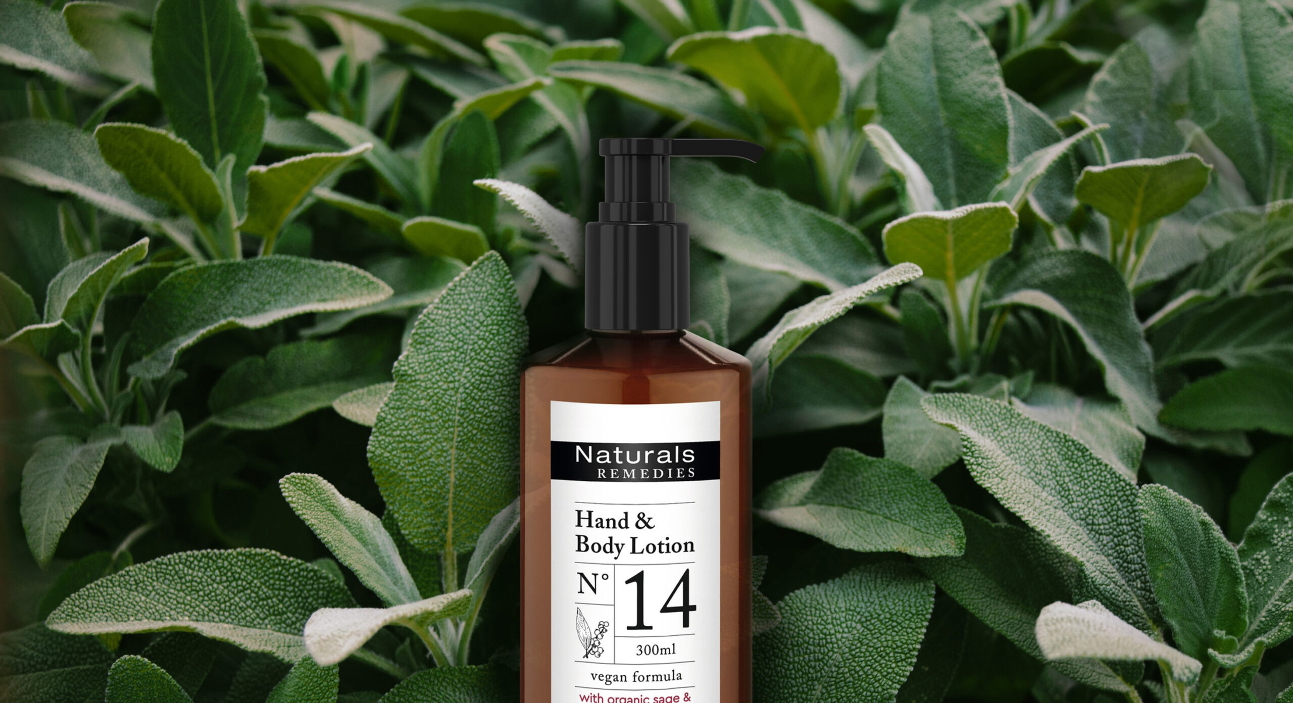 Naturals Remedies<br>THE BOTANICAL TRADITION
